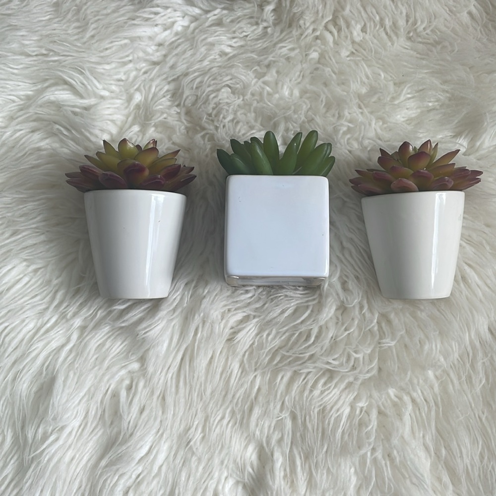 Small Fake Plants - Picture 3 of 8